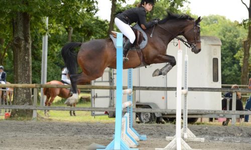 competition-ecuries-champeaux-01