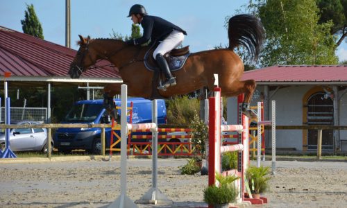 competition-ecuries-champeaux-02