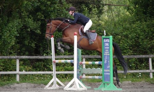 competition-ecuries-champeaux-03
