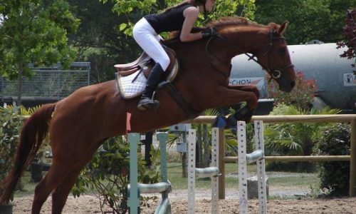 competition-ecuries-champeaux-05