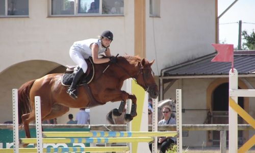 competition-ecuries-champeaux-06