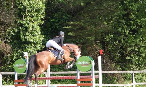 competition-ecuries-champeaux-08