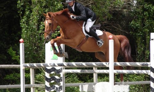 competition-ecuries-champeaux-10