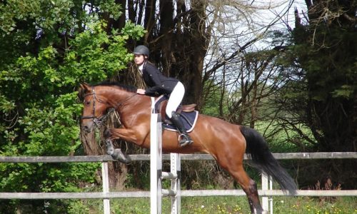 competition-ecuries-champeaux-12