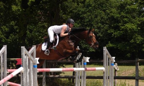 competition-ecuries-champeaux-14